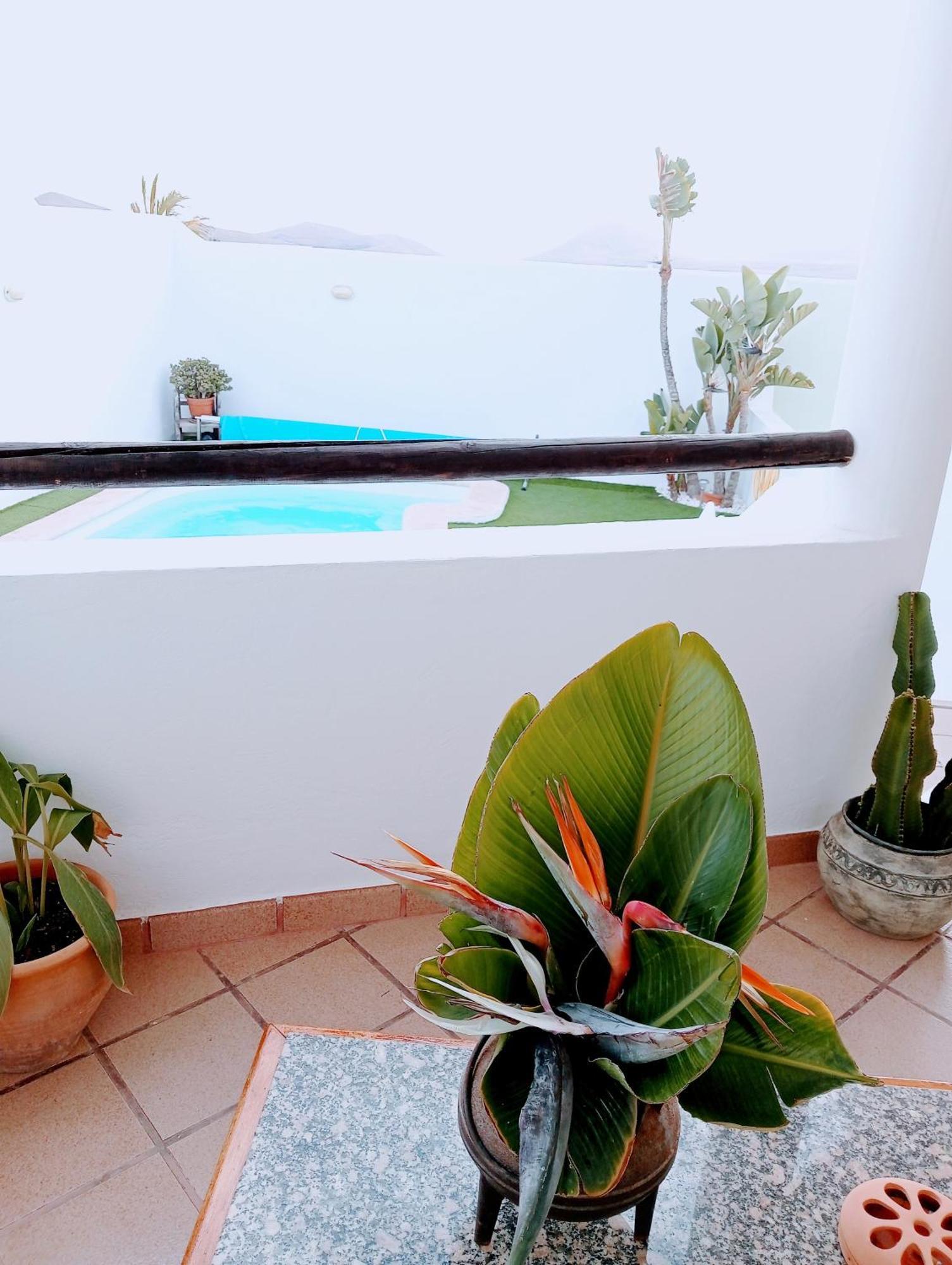 Villa Casa Strelitzia Nazaret Exterior foto